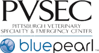 PVSEC logo