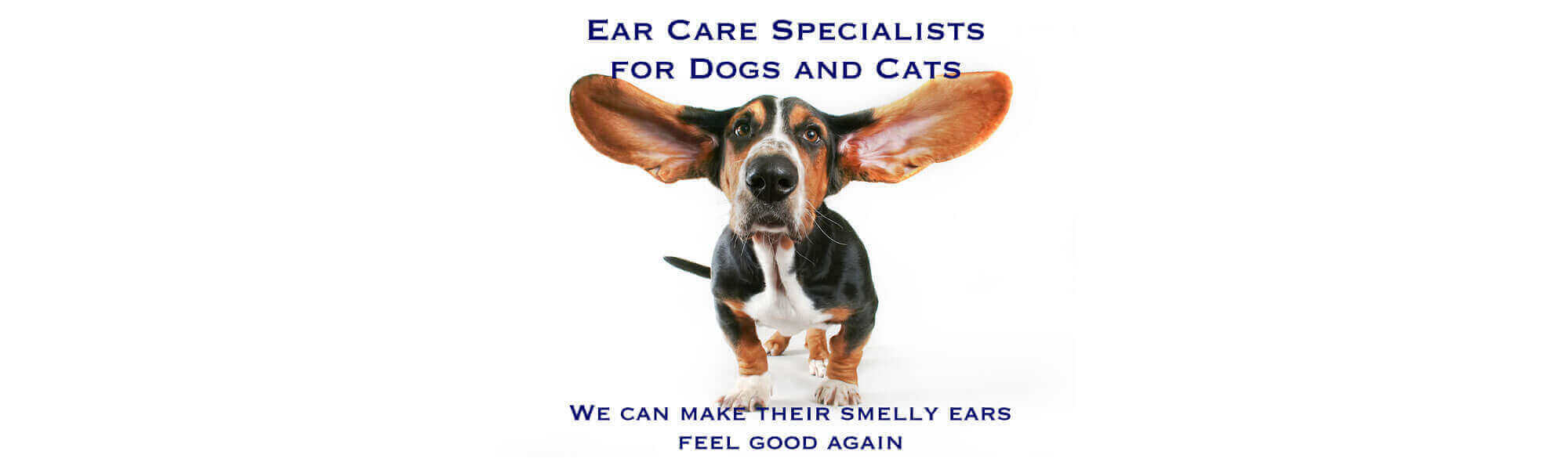 Ear Care Header